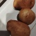 南阳土豆基地