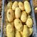 山东土豆精品黄皮v7沃土，希土豆大量上市黄皮黄肉商超品质