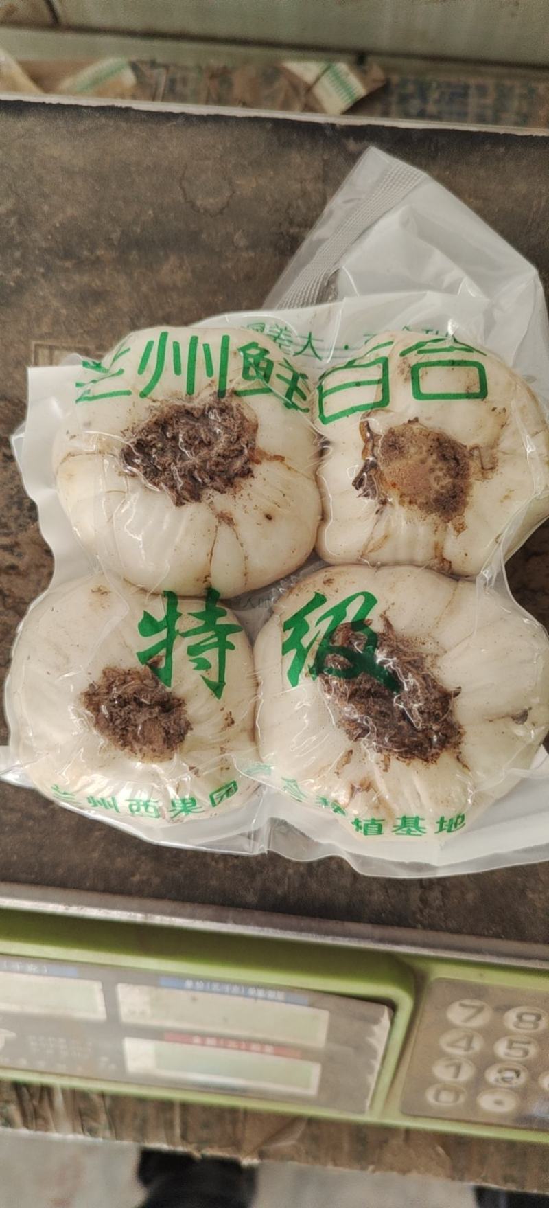 甘肃兰州百合基地直发包邮每袋4颗