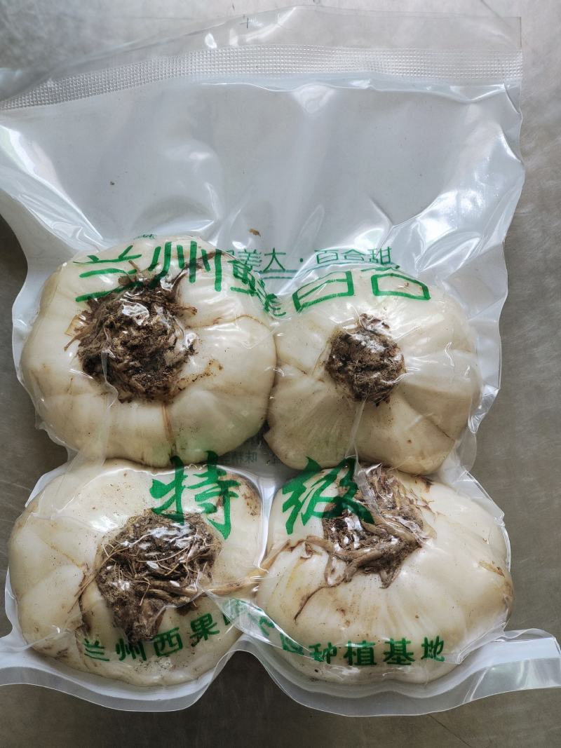 甘肃兰州百合基地直发包邮每袋4颗