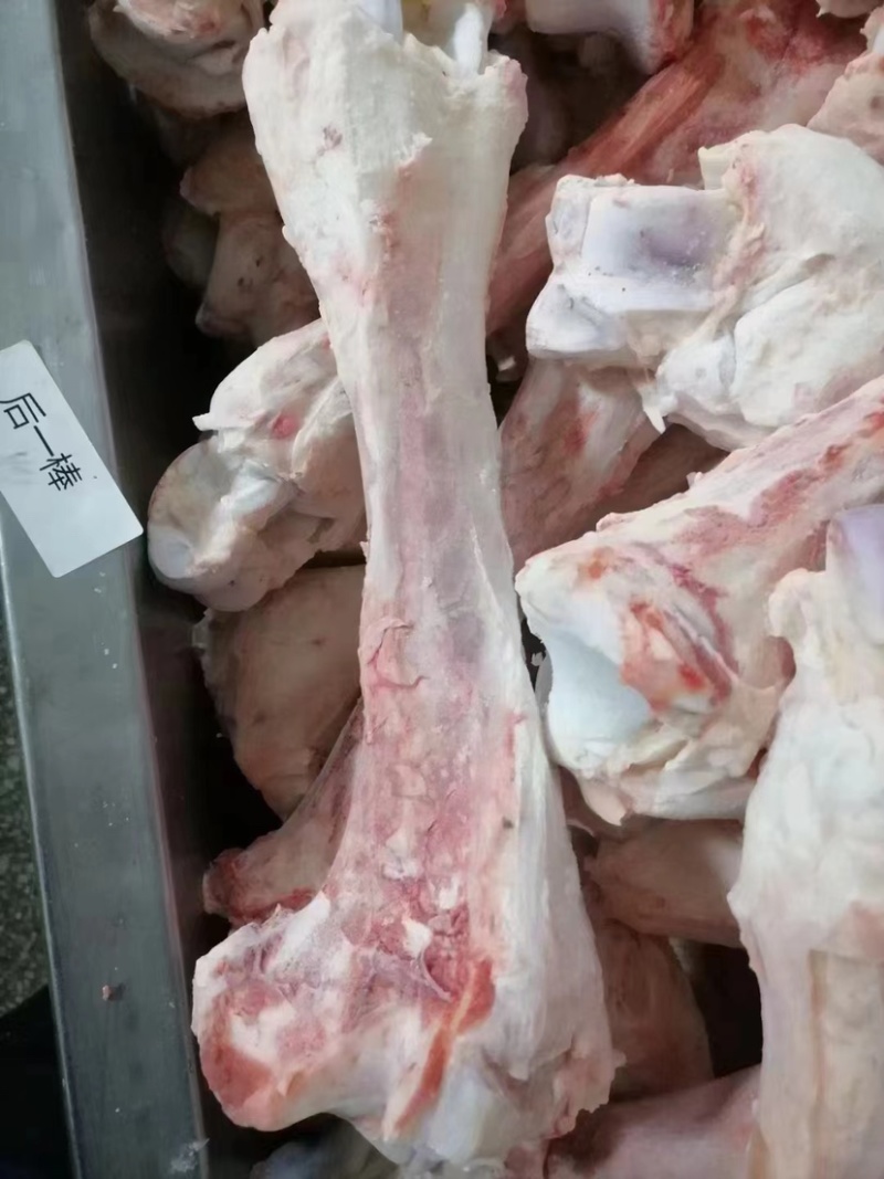 牛骨头