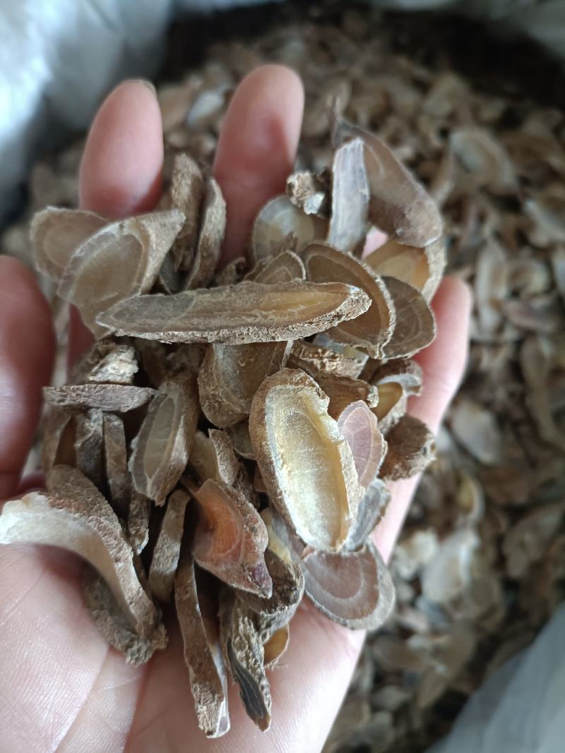 郁金，产地广西，无硫无杂质，道地药材，欢迎选购
