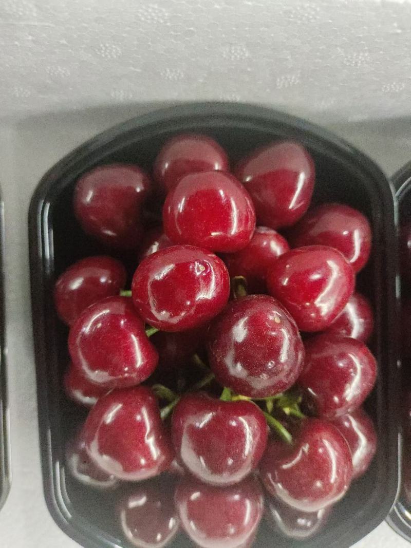 樱桃马上上市，有需要的随时联系