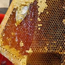 供应土蜂蜜，可长期合作，蜜源稳定，有兴趣老板