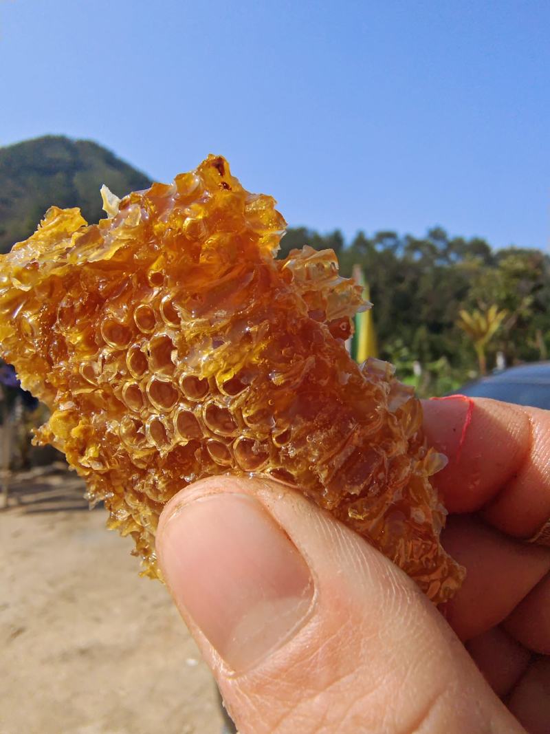 供应土蜂蜜，可长期合作，蜜源稳定，有兴趣老板联系