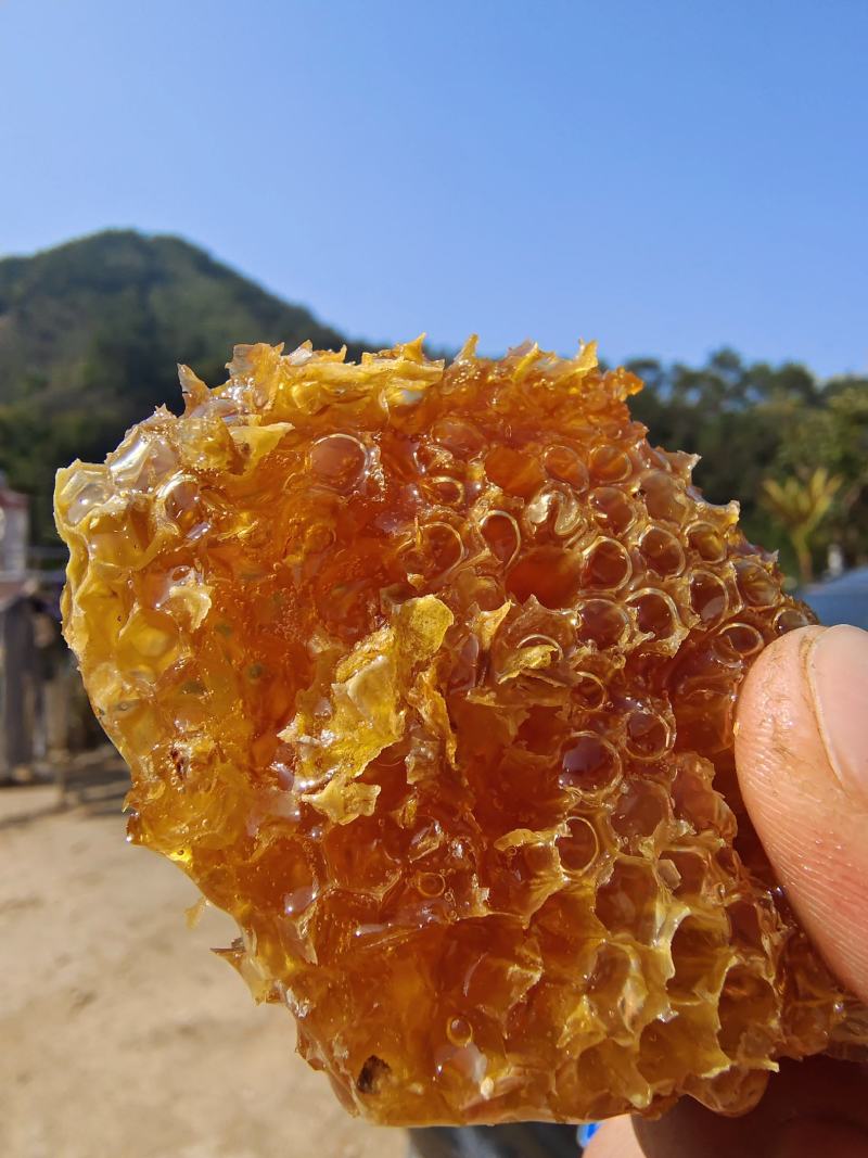 供应土蜂蜜，可长期合作，蜜源稳定，有兴趣老板联系