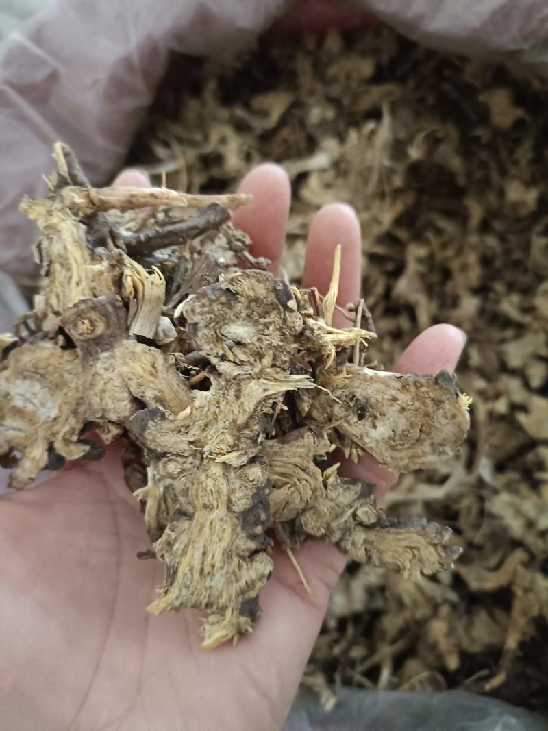 藁本，江西，新货无硫无杂，过筛新货，欢迎选购