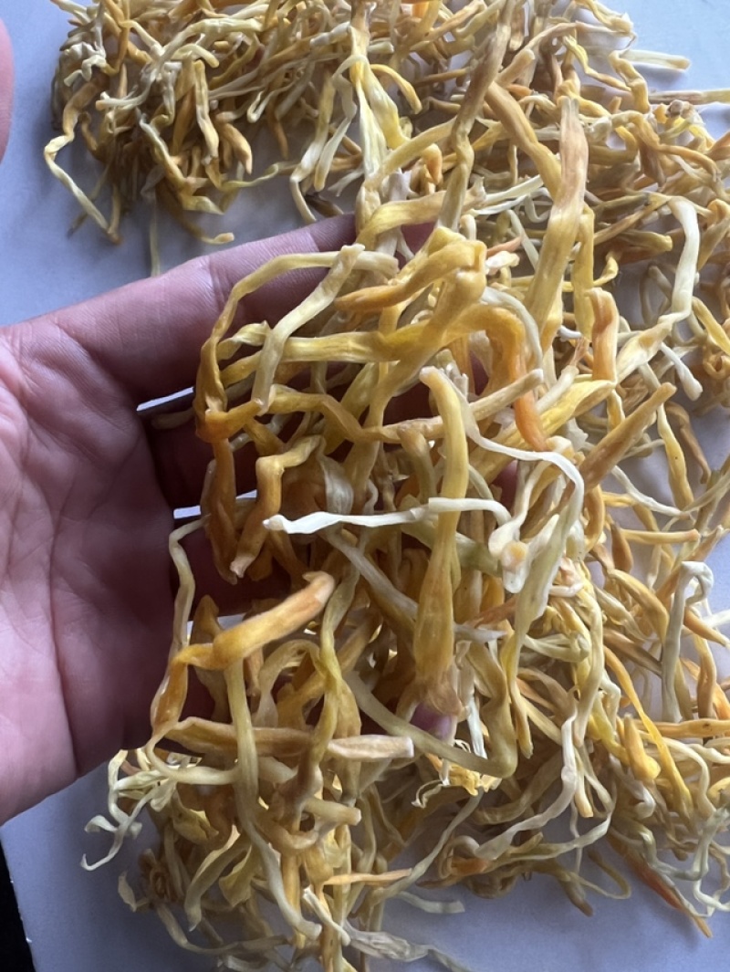 黄花菜展会地摊农家自制黄花菜干干黄花菜
