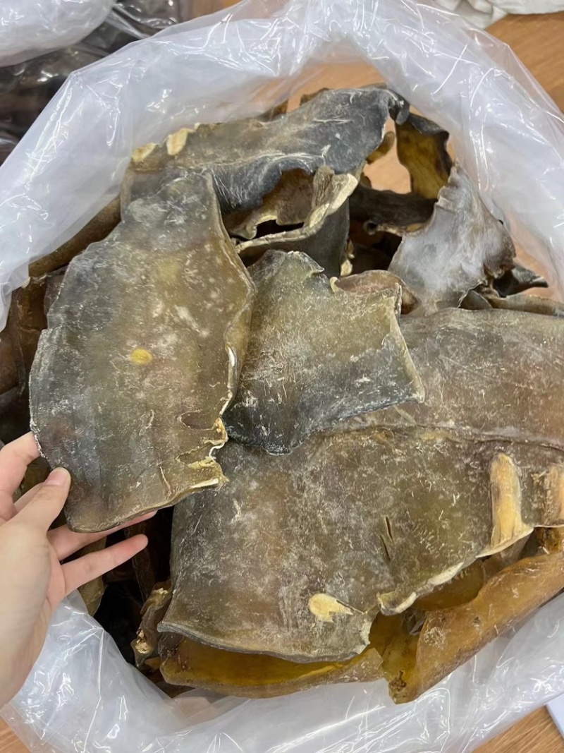 甲鱼裙边大片超厚肉水鱼裙边龟板胶酒楼酒店专用大头数裙边