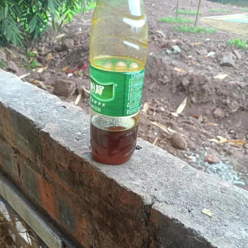 农家菜籽油，现榨现卖