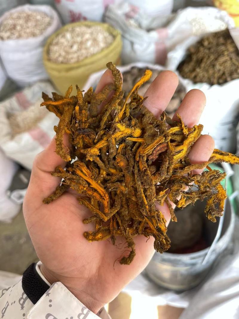 黄连中药鸡爪连黄连泡水黄莲片正品苦黄连粉包邮