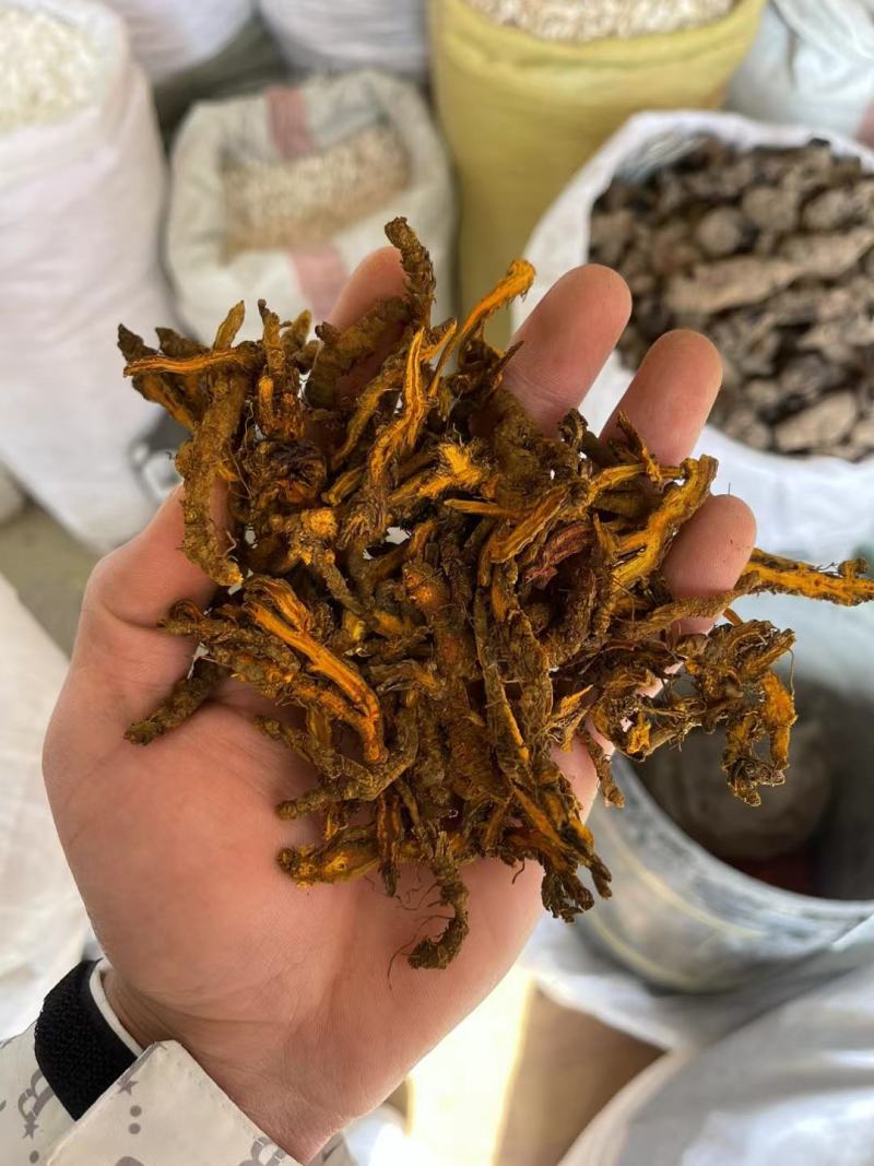 黄连中药鸡爪连黄连泡水黄莲片正品苦黄连粉包邮