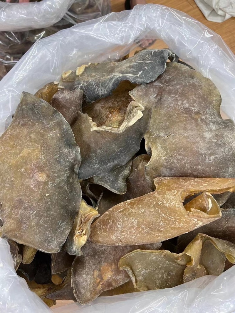 甲鱼裙边大片超厚肉水鱼裙边龟板胶酒楼酒店专用大头数裙边