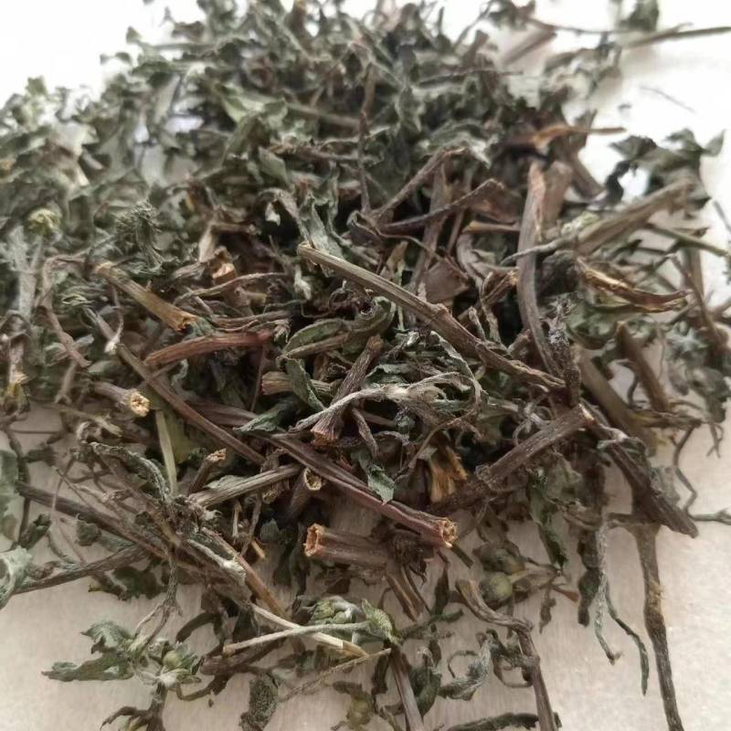 旱莲草墨旱莲产地一手货源现货供应中药材批发