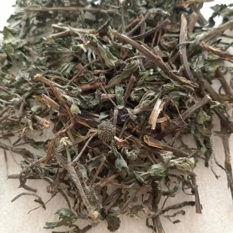 旱莲草墨旱莲产地一手货源现货供应中药材批发