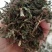 旱莲草墨旱莲产地一手货源现货供应中药材批发