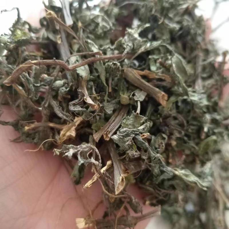旱莲草墨旱莲产地一手货源现货供应中药材批发