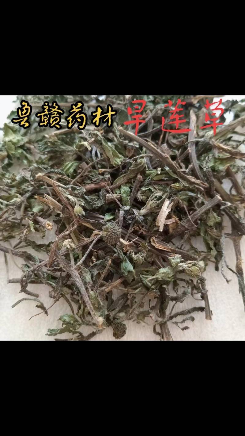 旱莲草墨旱莲产地一手货源现货供应中药材批发