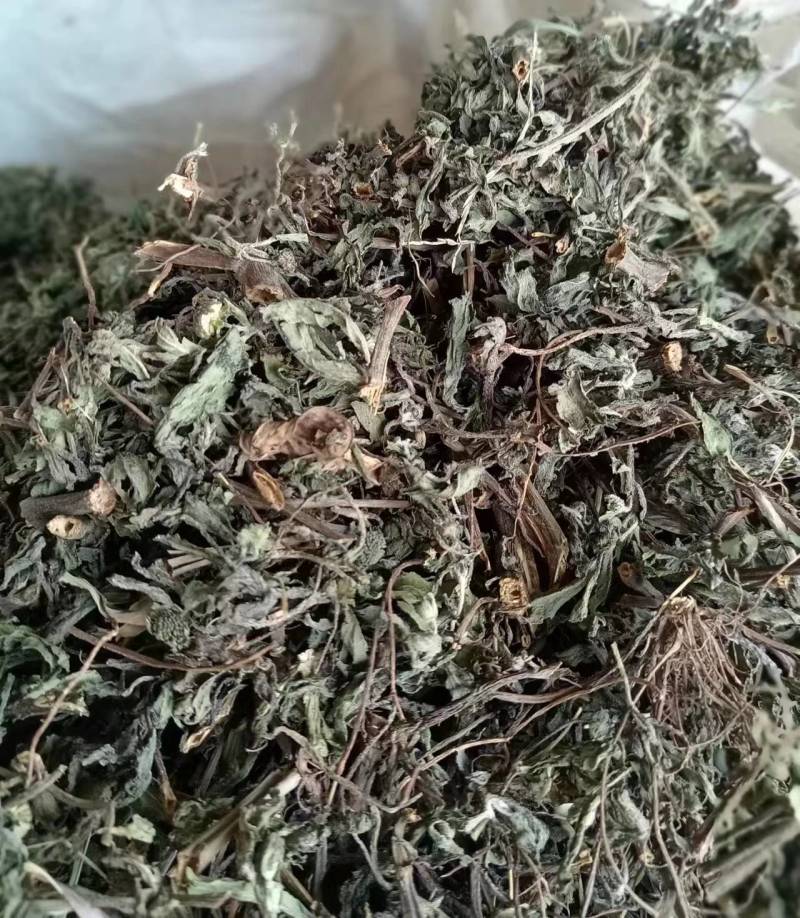 旱莲草墨旱莲产地一手货源现货供应中药材批发