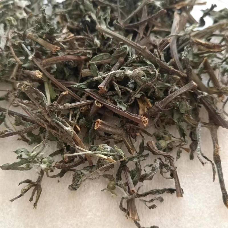旱莲草墨旱莲产地一手货源现货供应中药材批发