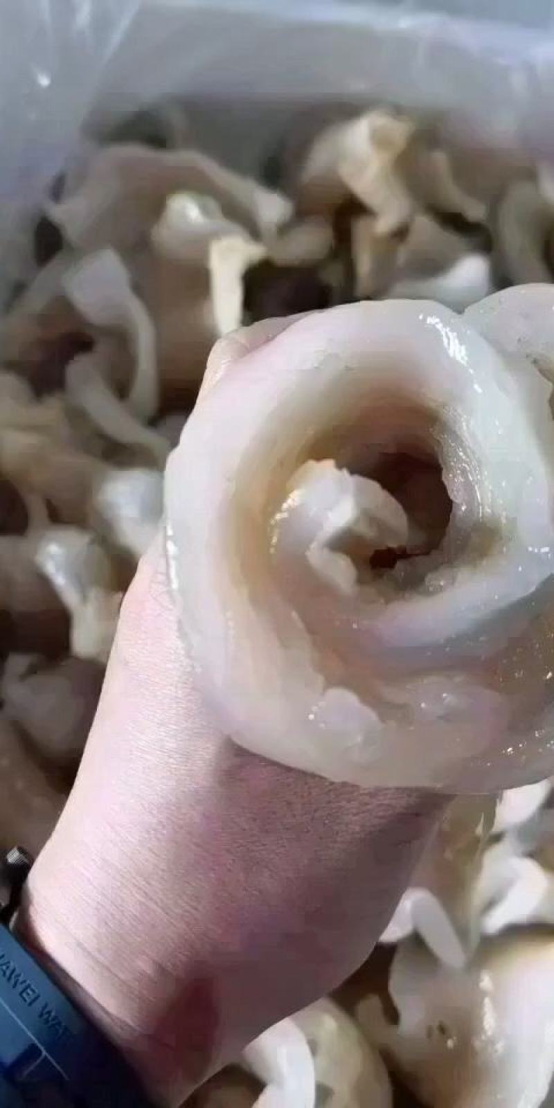 鱼唇