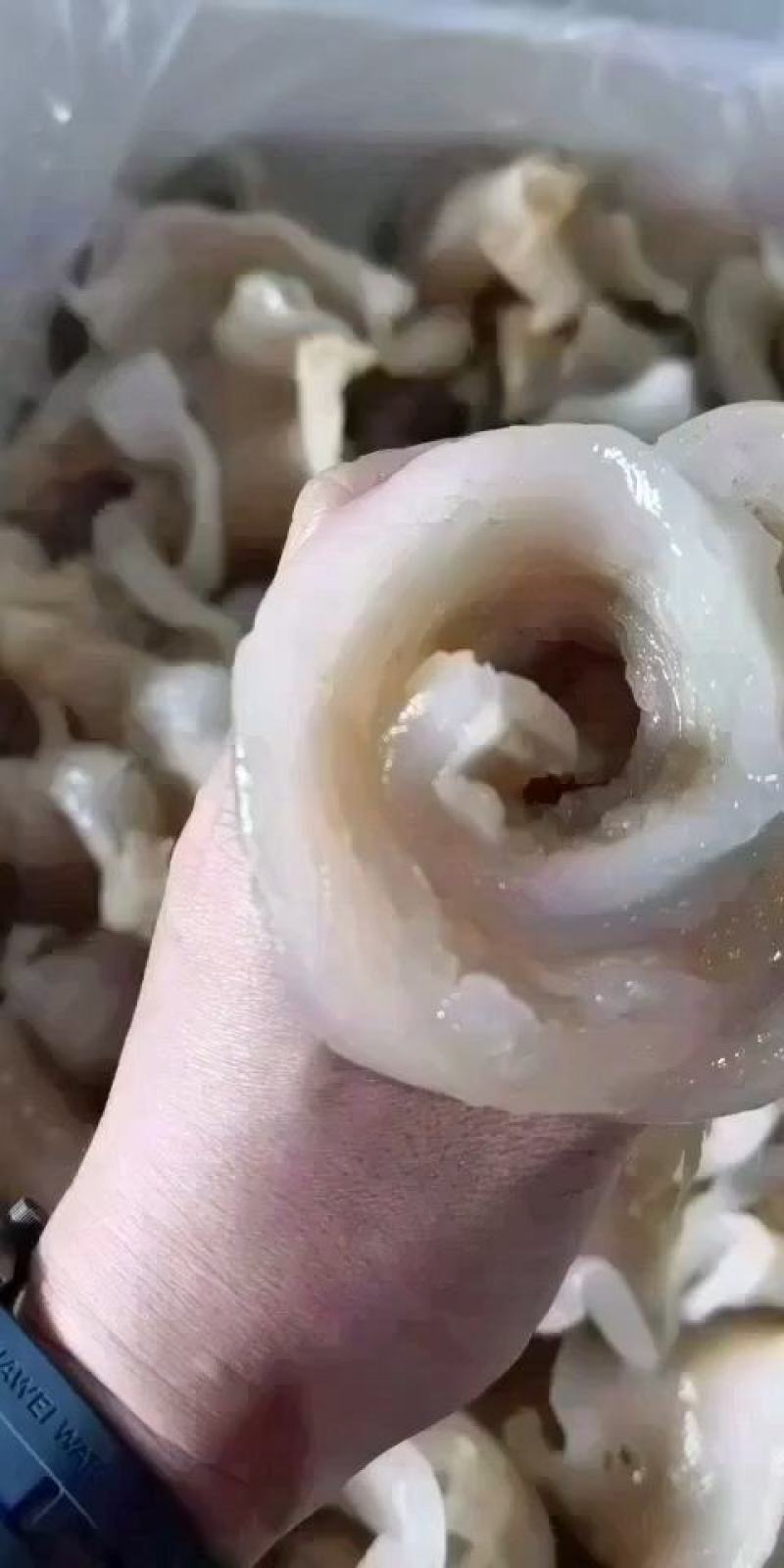鱼唇