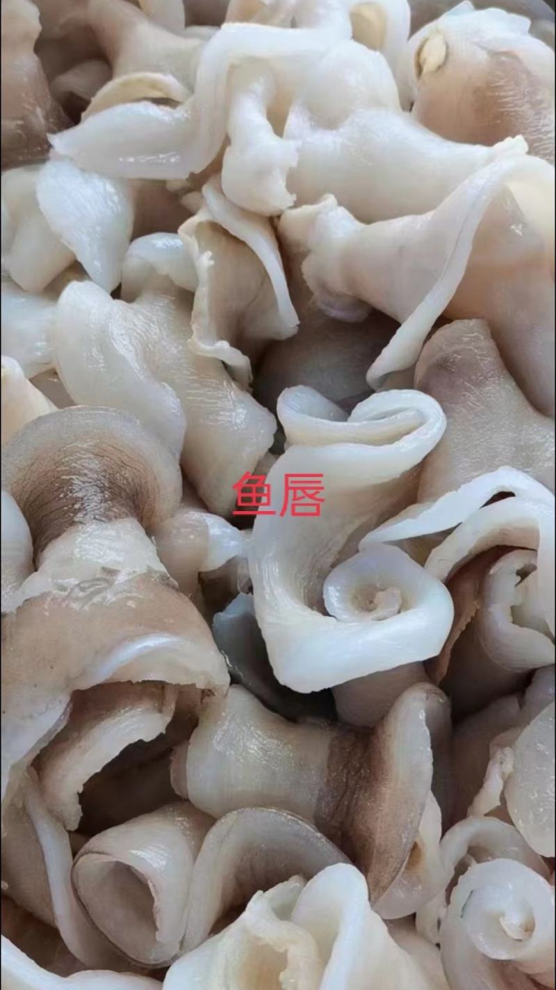 鱼唇
