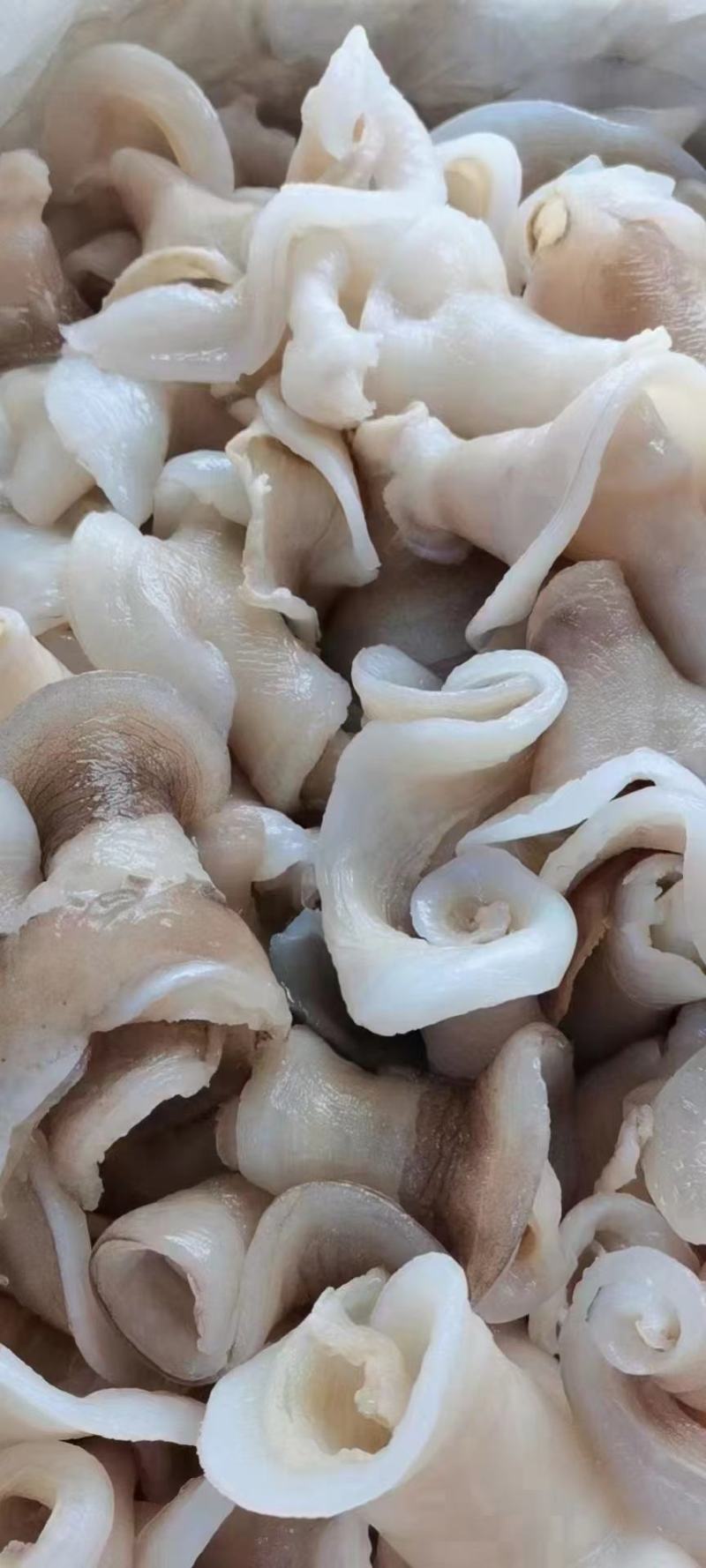 鱼唇