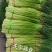 红帽蒜苔长度60-80干苔不泡水，对接.电商可视频看货