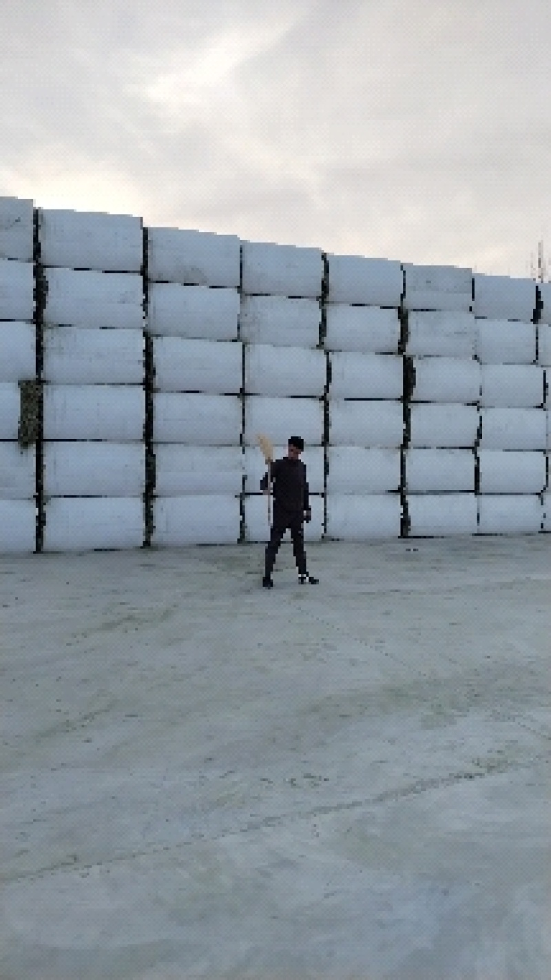 美国进口苜蓿草GFI进口苜蓿草天津港口提货