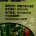 矮壮素黑绿壮，辣椒、樱桃西红柿、黄瓜、长豆角、芸豆等