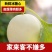 甜瓜
