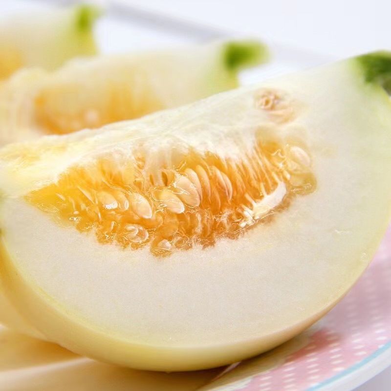 甜瓜