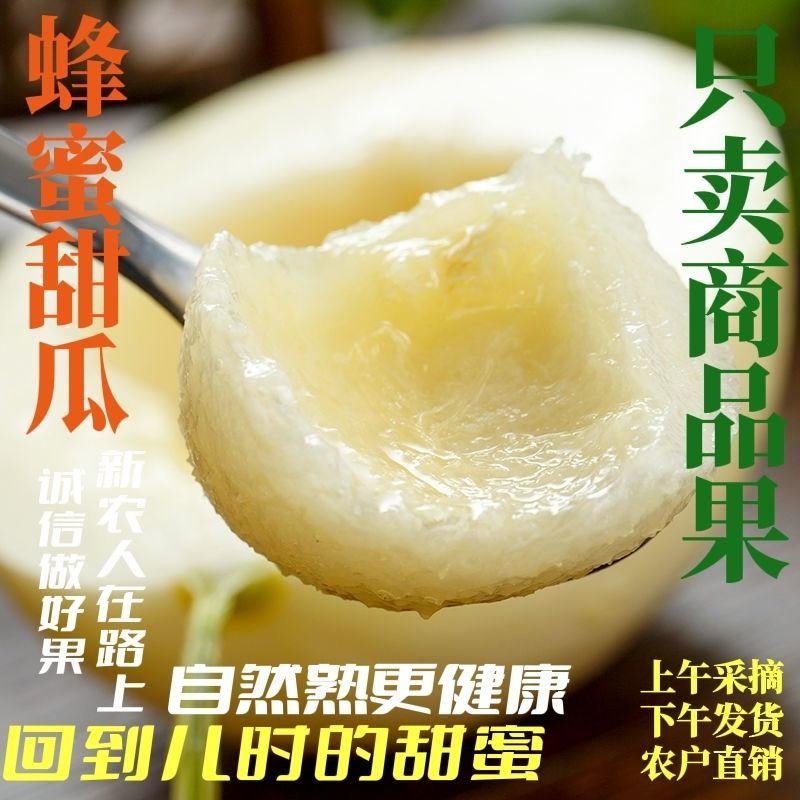 甜瓜