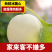 甜瓜