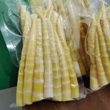 高山野生竹笋新鲜现挖包装竹笋小笋子