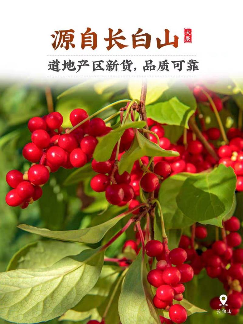 五味子，正宗东北长白山五味子，油性大，颜色好，个头大。