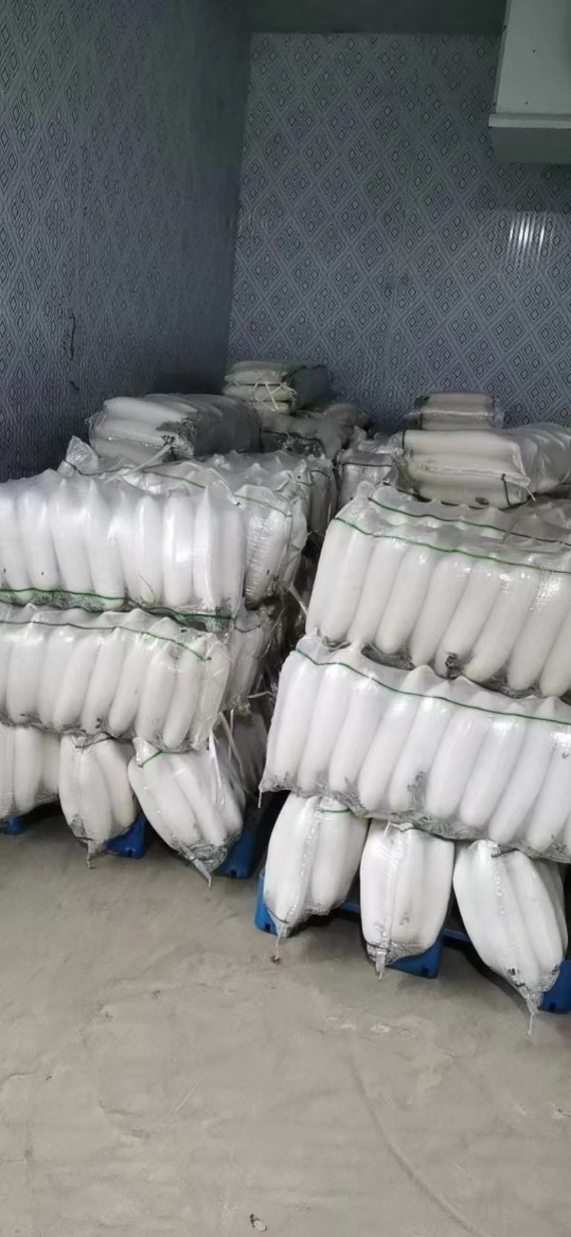 【精品白萝卜】湖北沙洋，产地发货，质量保证，价格合理。