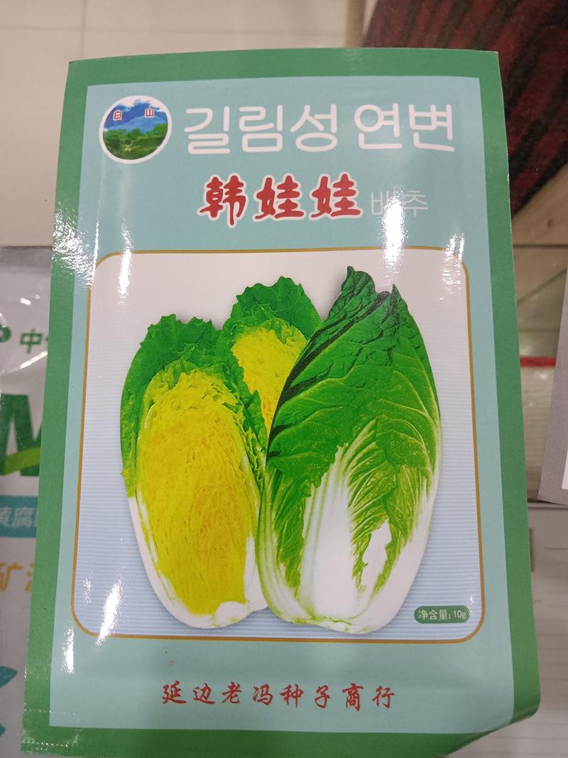 韩国娃娃菜种子外叶深绿内心嫩黃春秋种植，每袋10克。