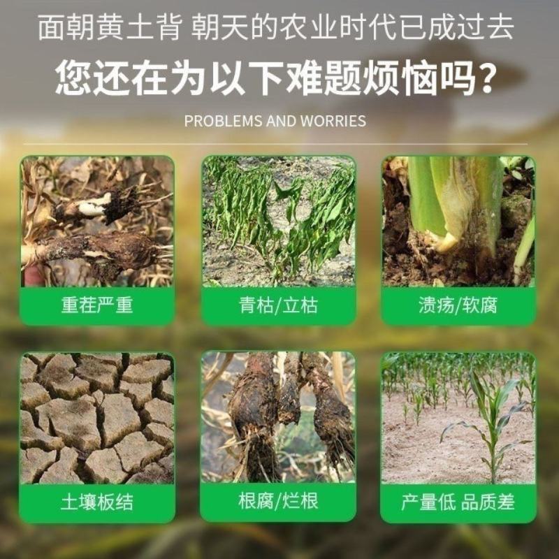1000亿枯草芽孢杆菌微生物菌剂根腐立枯桶装菌肥水溶肥