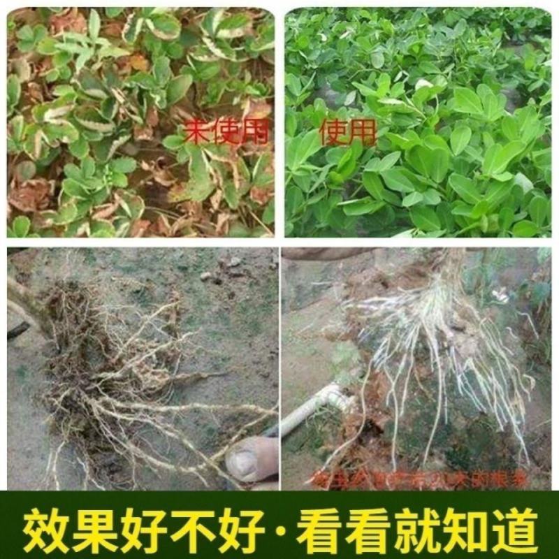 1000亿枯草芽孢杆菌微生物菌剂根腐立枯桶装菌肥水溶肥