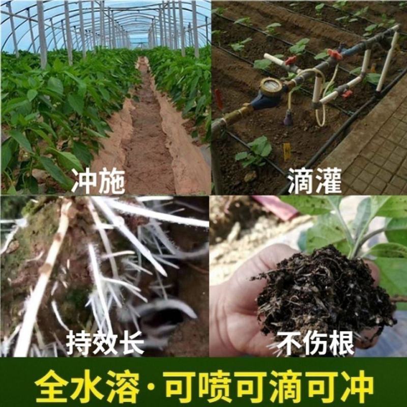 1000亿枯草芽孢杆菌微生物菌剂根腐立枯桶装菌肥水溶肥
