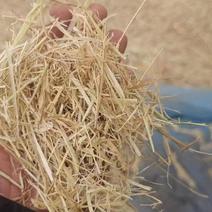 稻草粉碎柔丝大包，水分安全过夏，无土无杂质