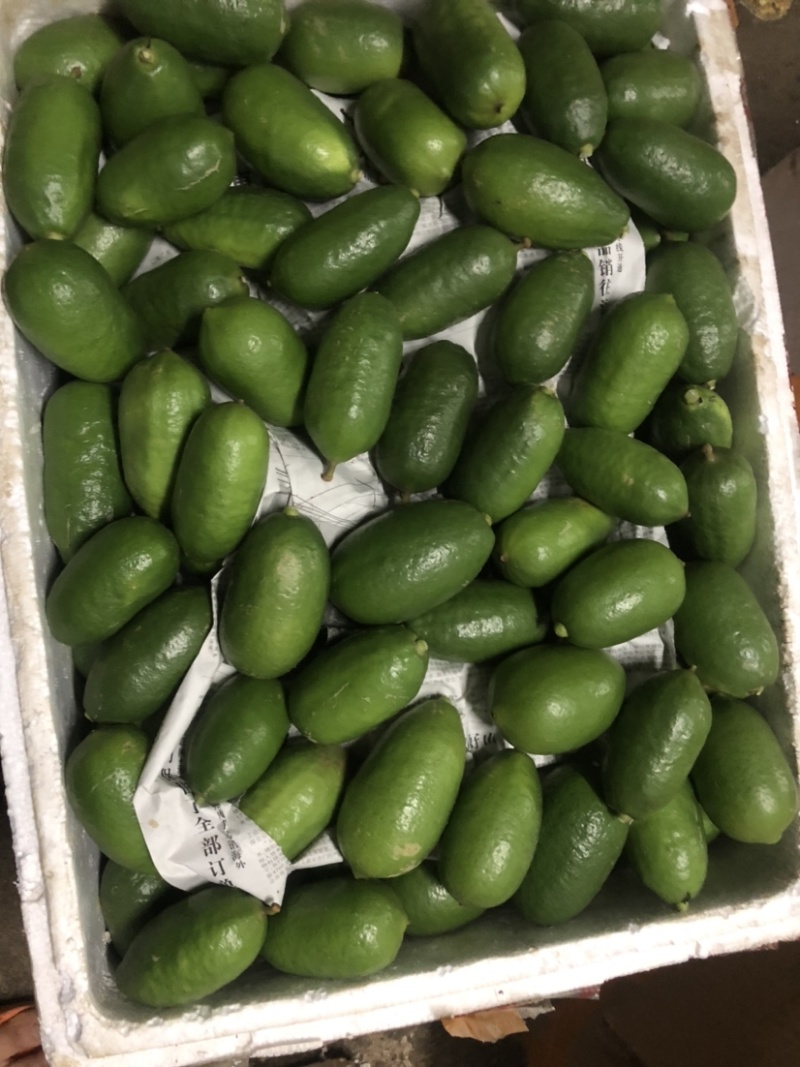 子弹头，现摘发货
