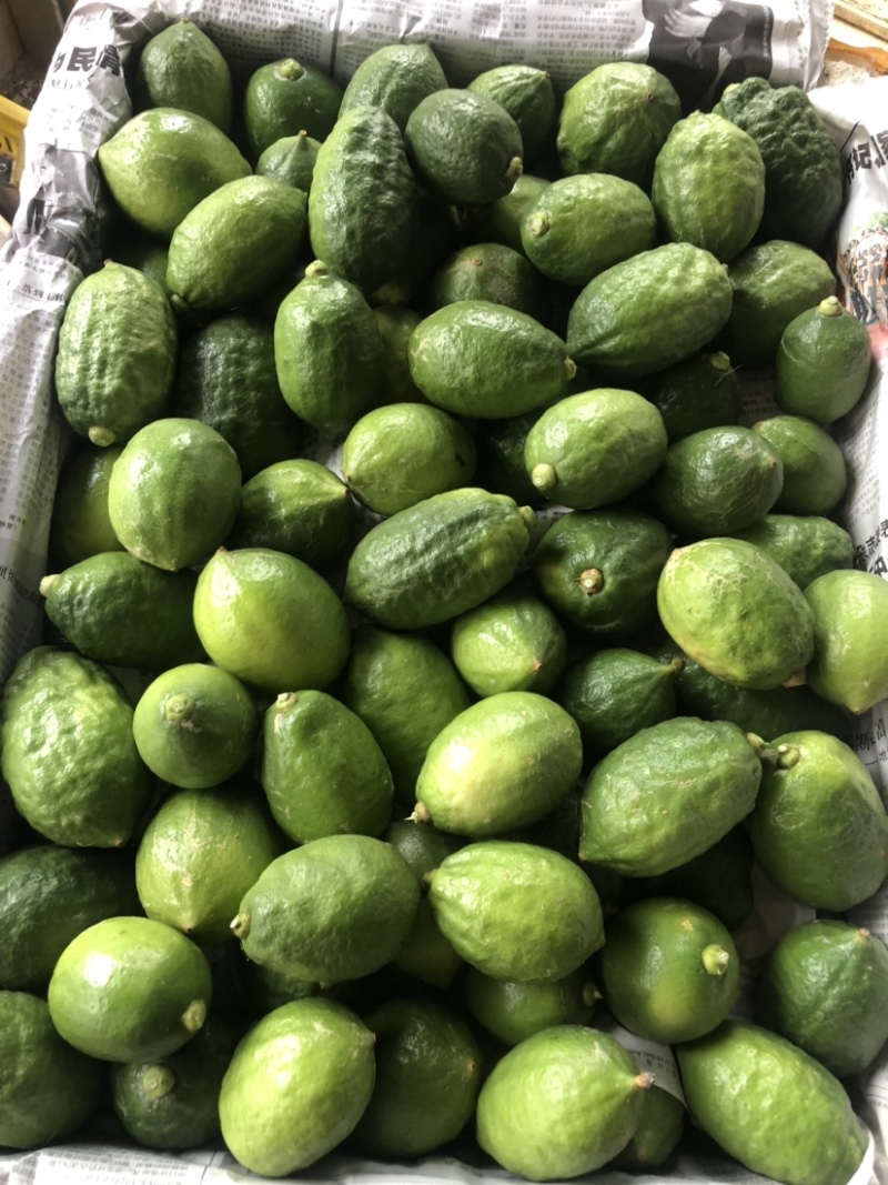 广东香水柠檬
