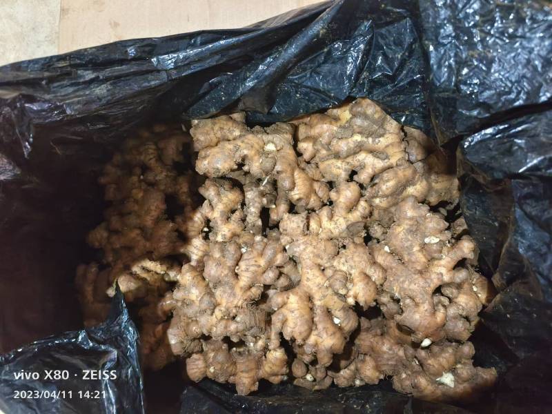 整年出售白姜，嫩姜小黄姜，大黄姜，国内国外都有货专业代办