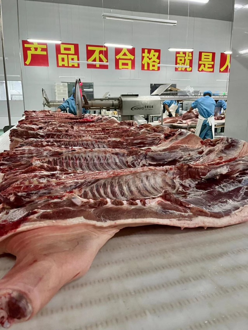 白条猪肉，分割猪肉