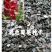 蜀葵花种子货源充足诚信经营品质保证出芽率高欢迎下单