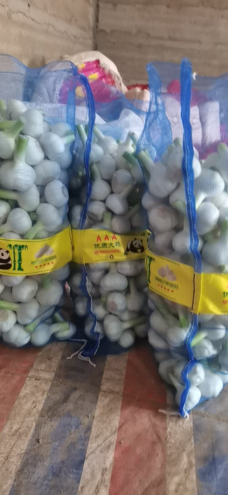 河南省淮阳区，蒜苔，扒皮鲜蒜，淮阳原皮鲜蒜大量供应中。。