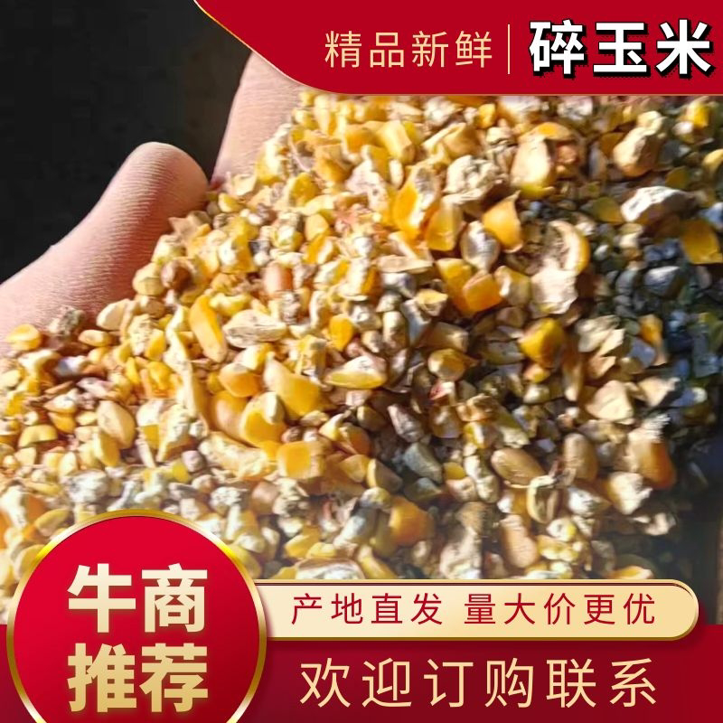 碎玉米.鹅料，碎麦，碎玉米，高粮，等付产品，有大形加工